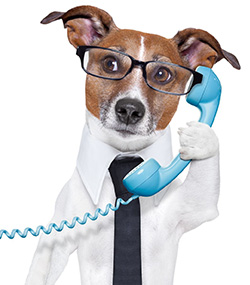 One simple tip that will change the way your prospects view you